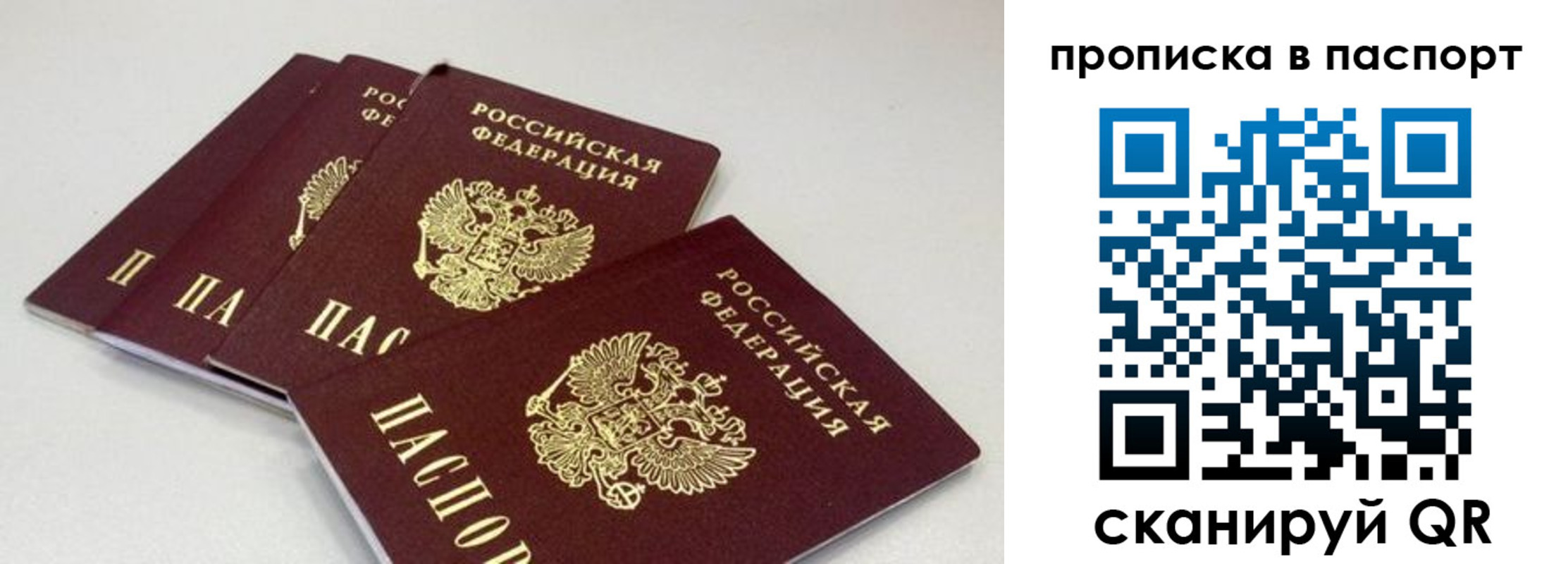 найти адрес прописки в Белой Холунице